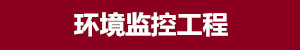 環(huán)境監(jiān)控工程