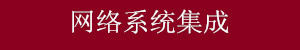 網絡系統集成