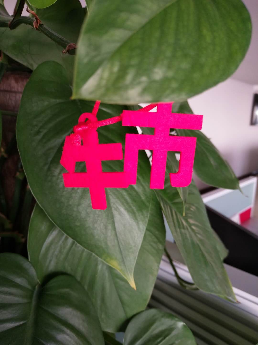 鑫融網(wǎng)絡(luò)